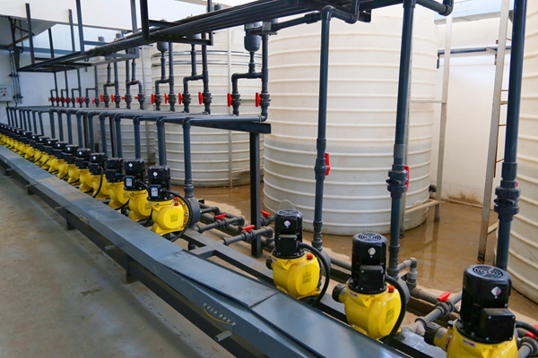 1742523827126995.jpg IMG_5521_副本.jpg